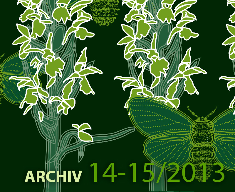 Archiv ročníku 14-15 – 2013